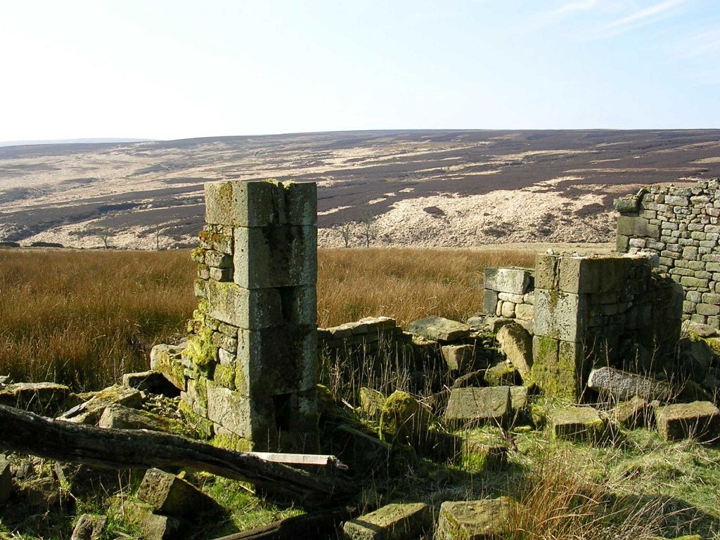 DSCN0342.JPG