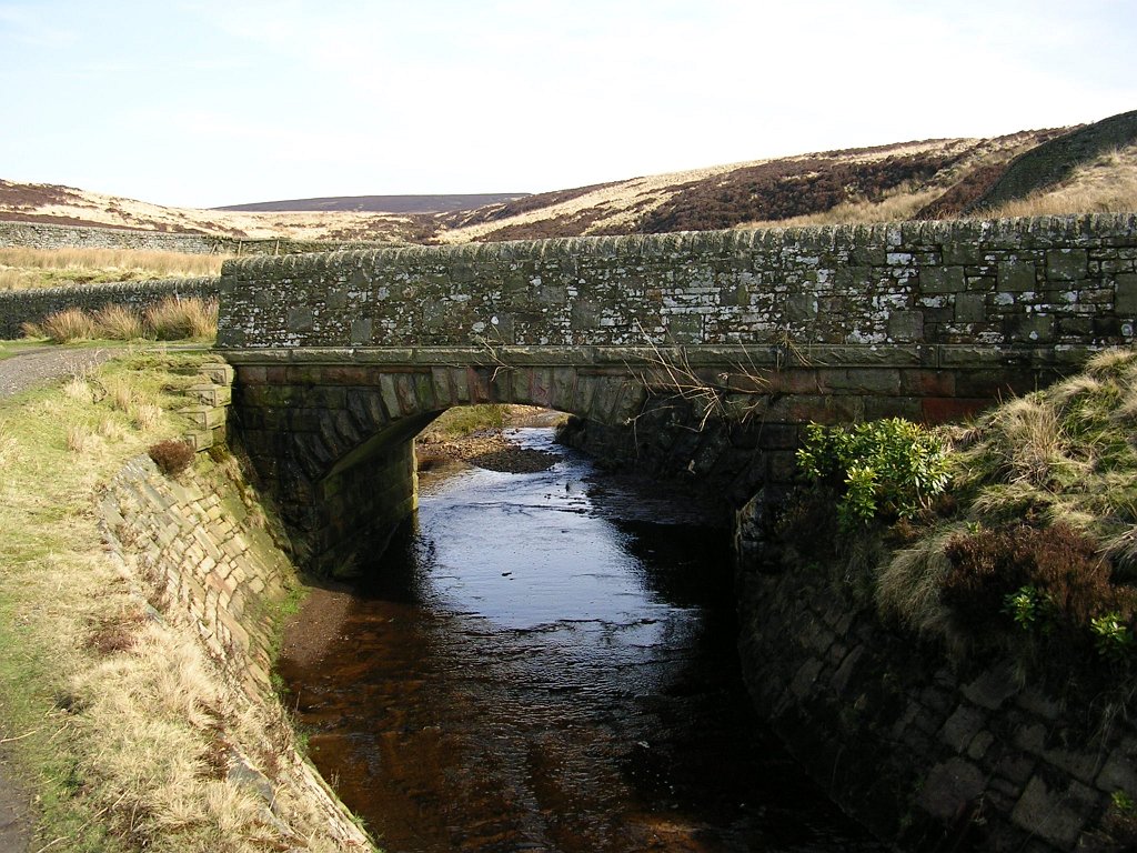 DSCN0353.JPG