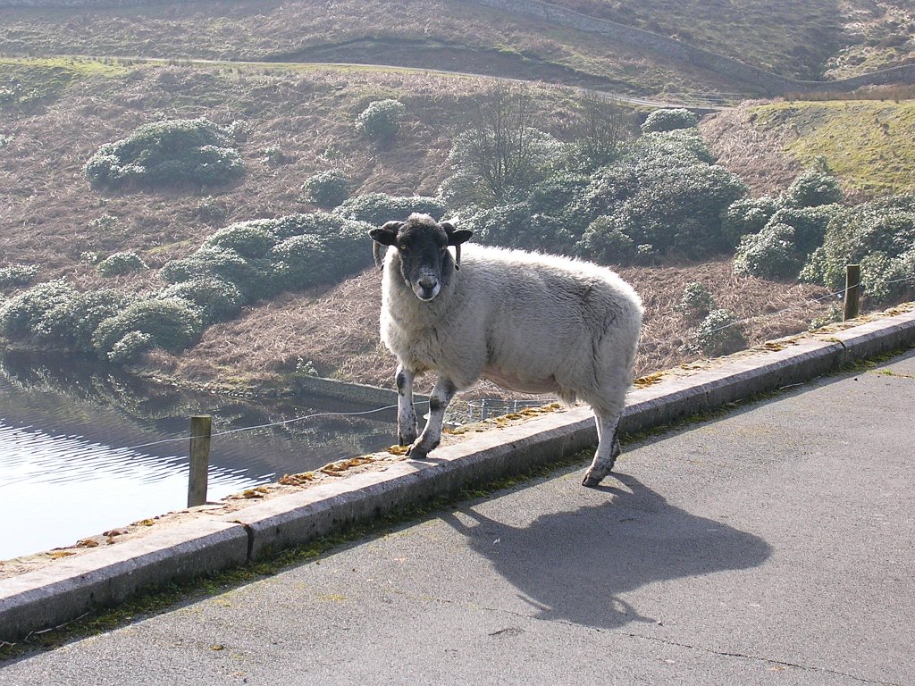 DSCN0357.JPG