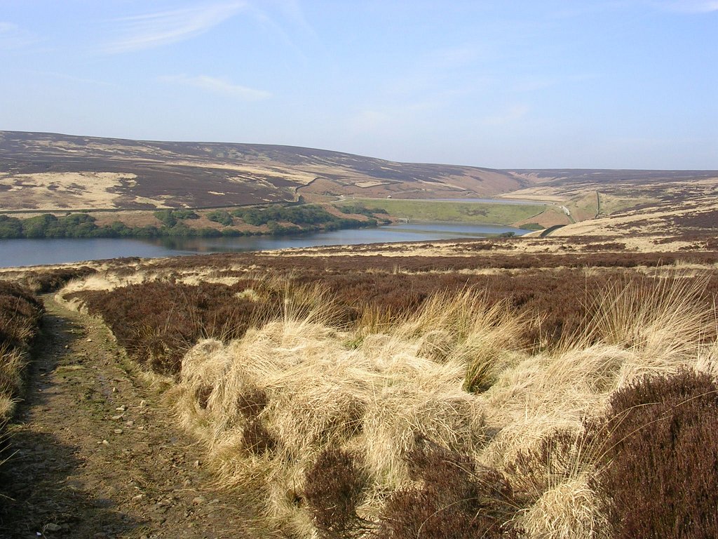 DSCN0361.JPG