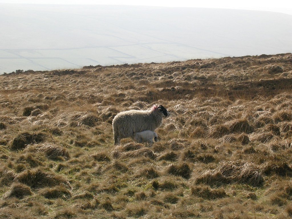 DSCN0364.JPG