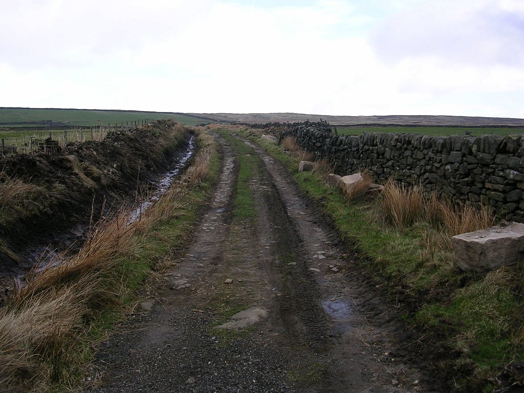 DSCN0378.JPG
