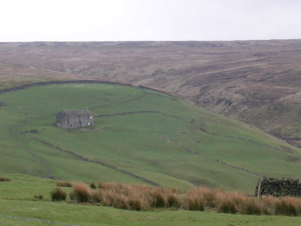 DSCN0380.JPG
