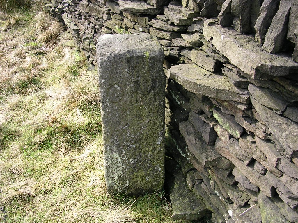 DSCN0384.JPG