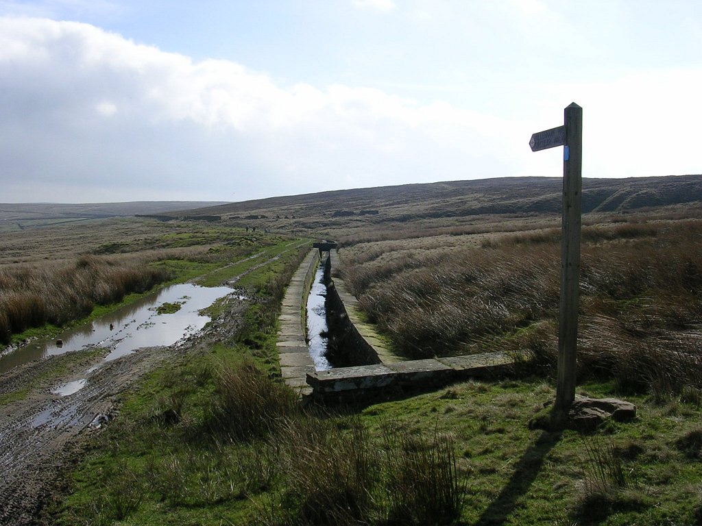 DSCN0389.JPG