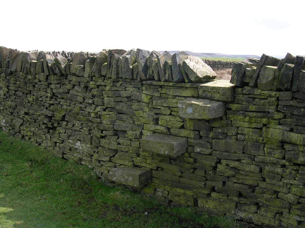 DSCN0642.JPG