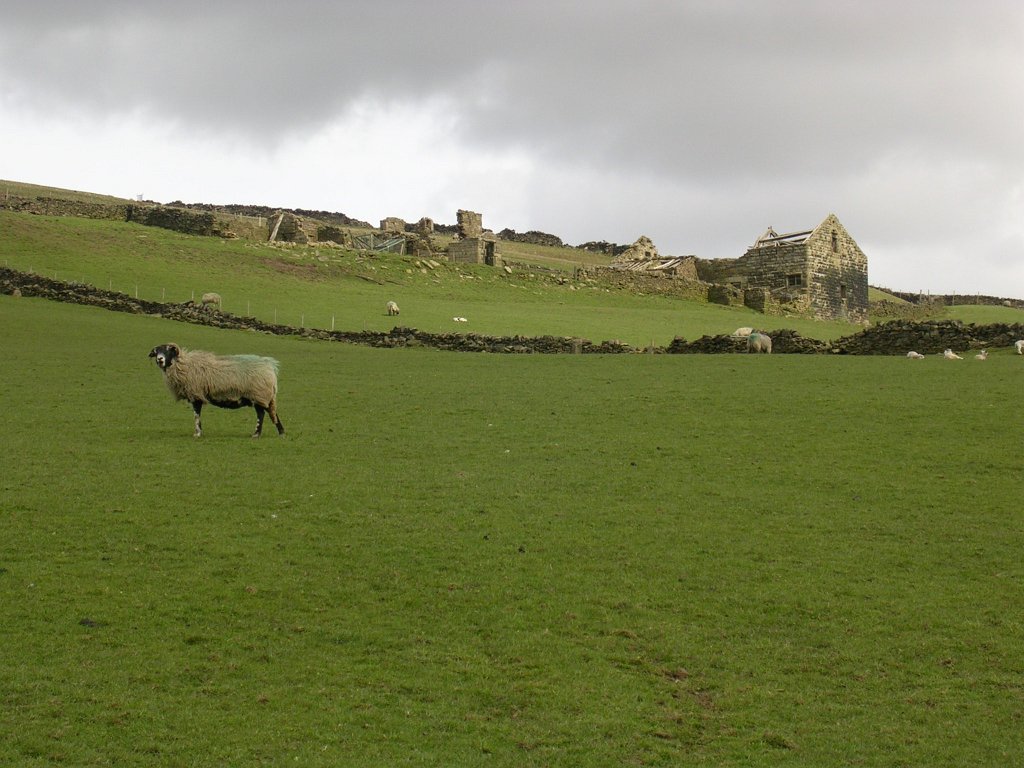 DSCN0650.JPG
