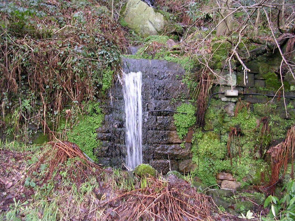 DSCN0114.JPG