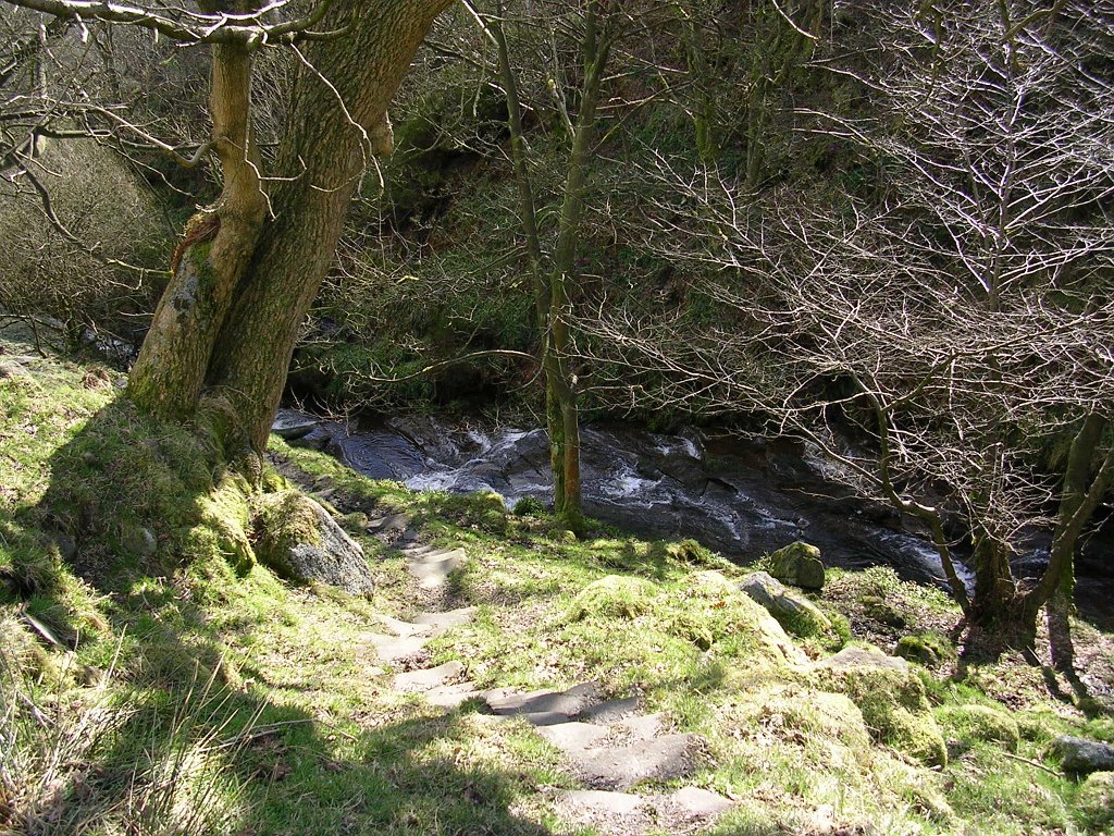 DSCN0246.JPG