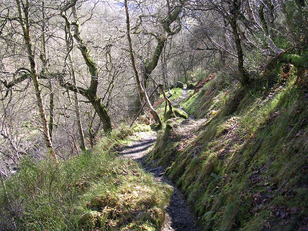 DSCN0262.JPG