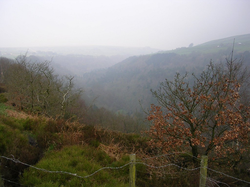 DSCN0484.JPG