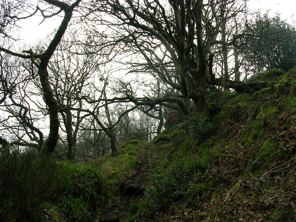 DSCN0488.JPG