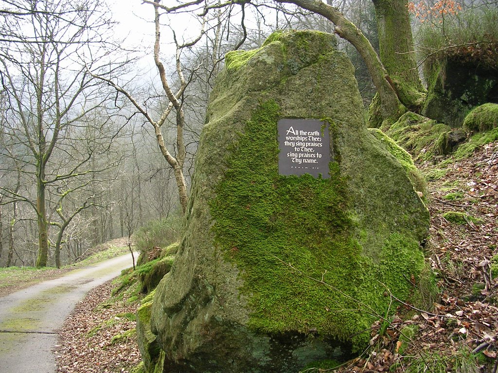 DSCN0491.JPG