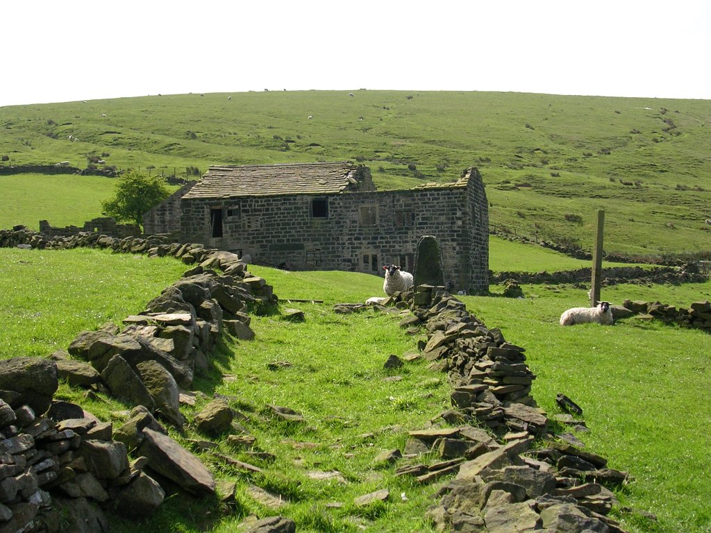 DSCN1132.JPG