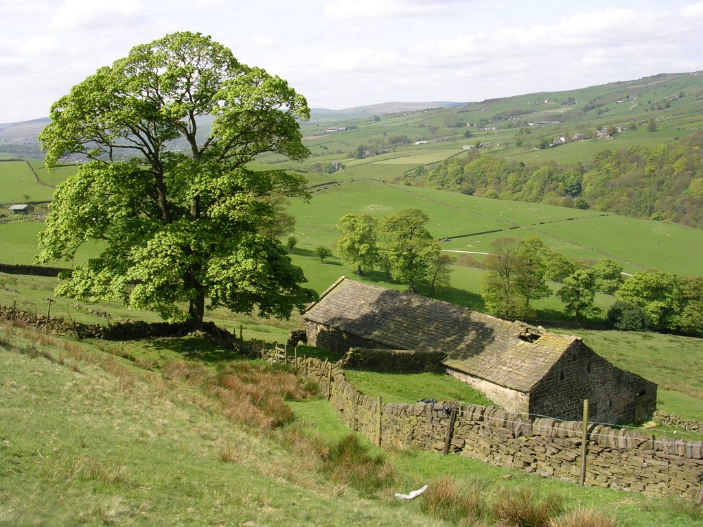 DSCN1149.JPG